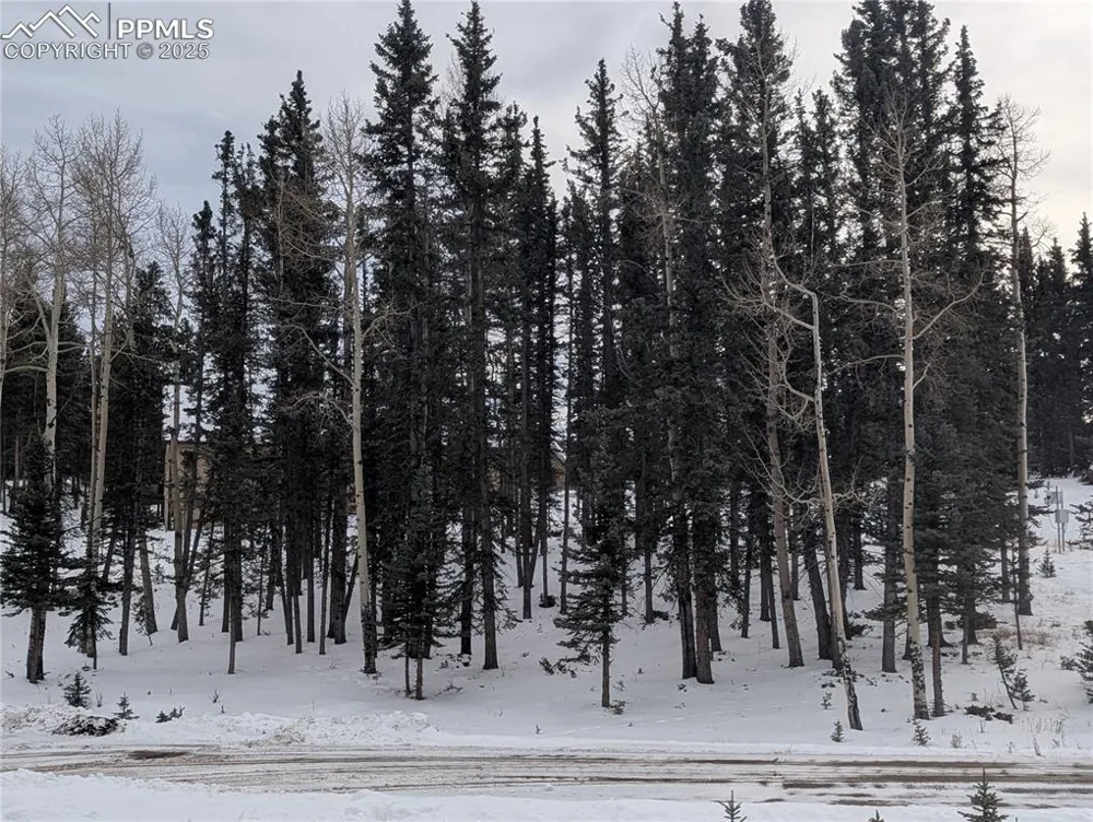 307 Pinaceae Heights Divide, CO 80814