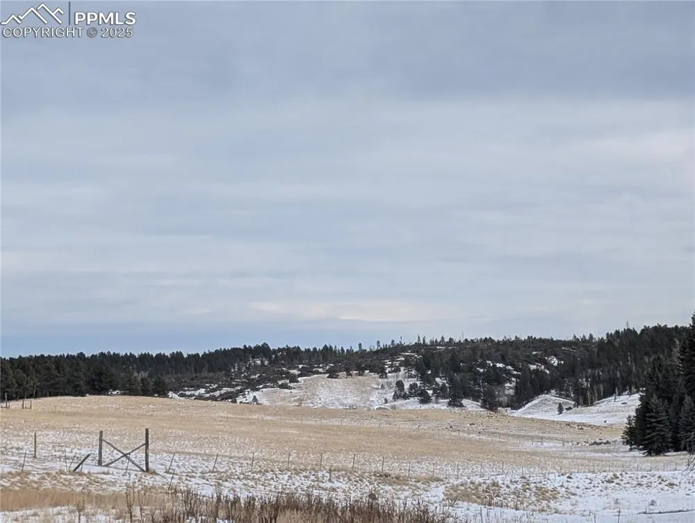 307 Pinaceae Heights Divide, CO 80814