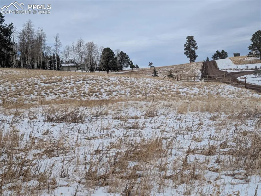 307 Pinaceae Heights Divide, CO 80814