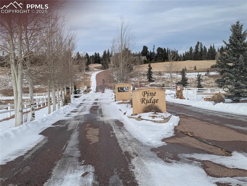 307 Pinaceae Heights Divide, CO 80814