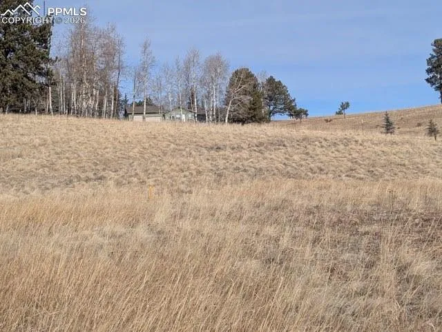 307 Pinaceae Heights Divide, CO 80814