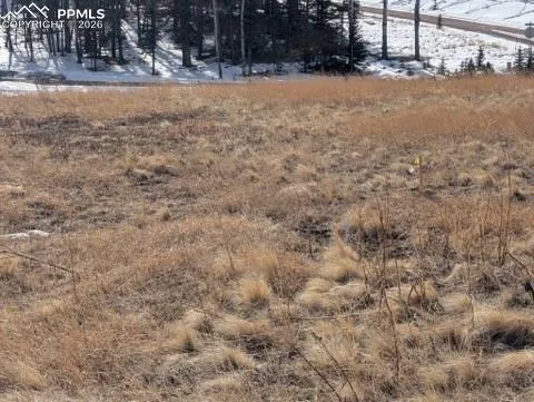 307 Pinaceae Heights Divide, CO 80814