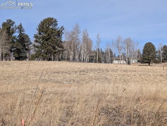 307 Pinaceae Heights Divide, CO 80814