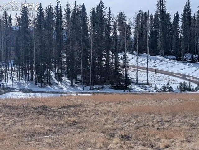 307 Pinaceae Heights Divide, CO 80814