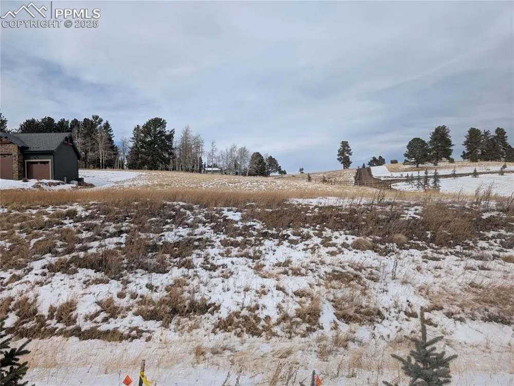 307 Pinaceae Heights Divide, CO 80814