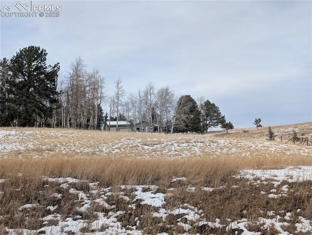 307 Pinaceae Heights Divide, CO 80814
