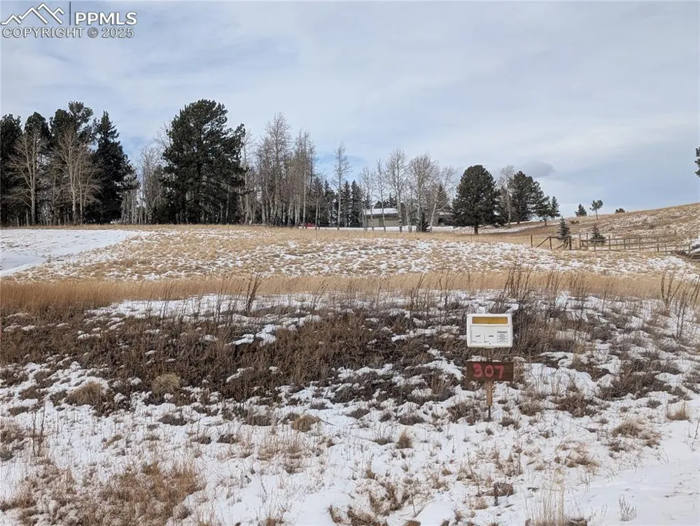 307 Pinaceae Heights Divide, CO 80814