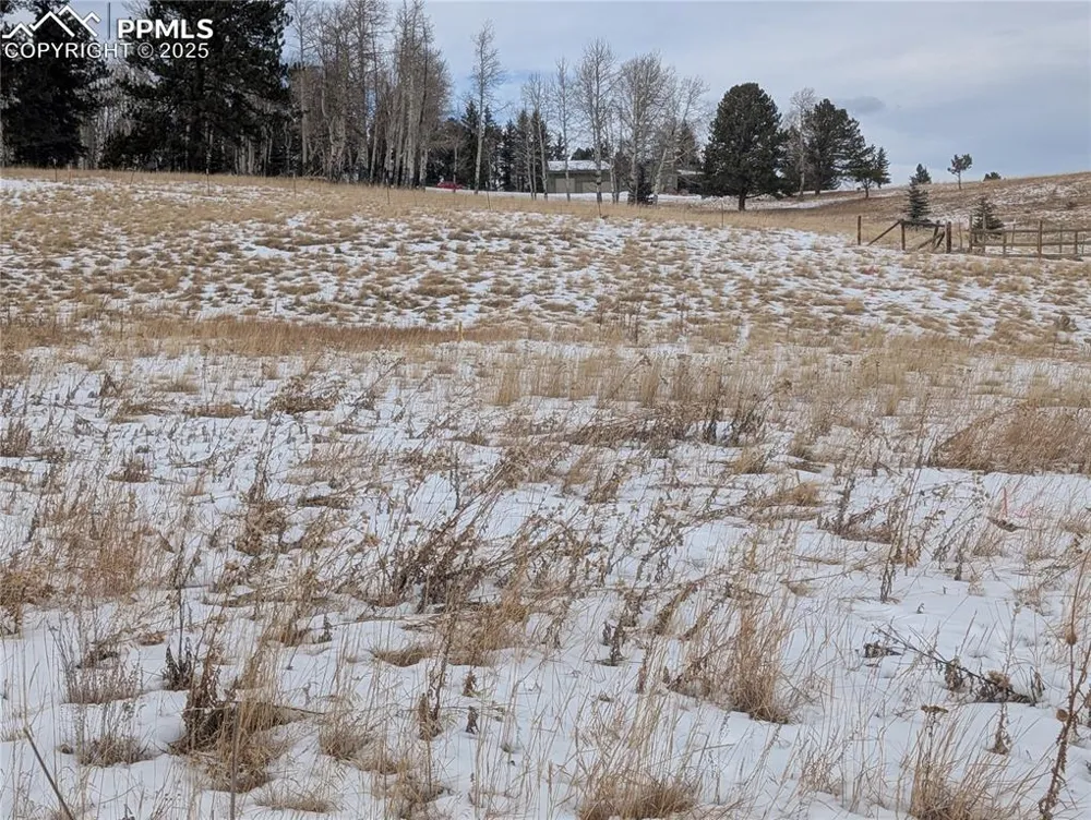 307 Pinaceae Heights Divide, CO 80814