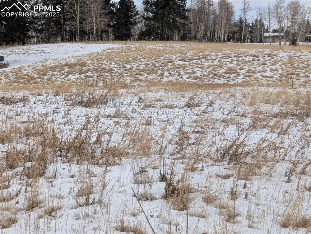 307 Pinaceae Heights Divide, CO 80814
