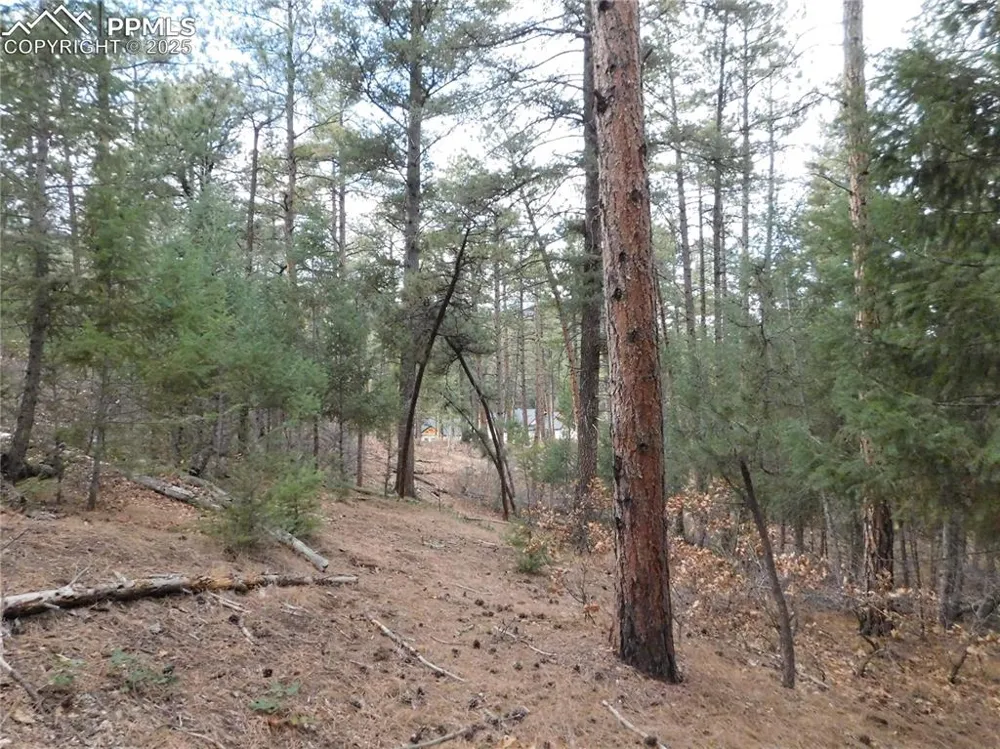 8139 Bannock Drive Larkspur, CO 80118
