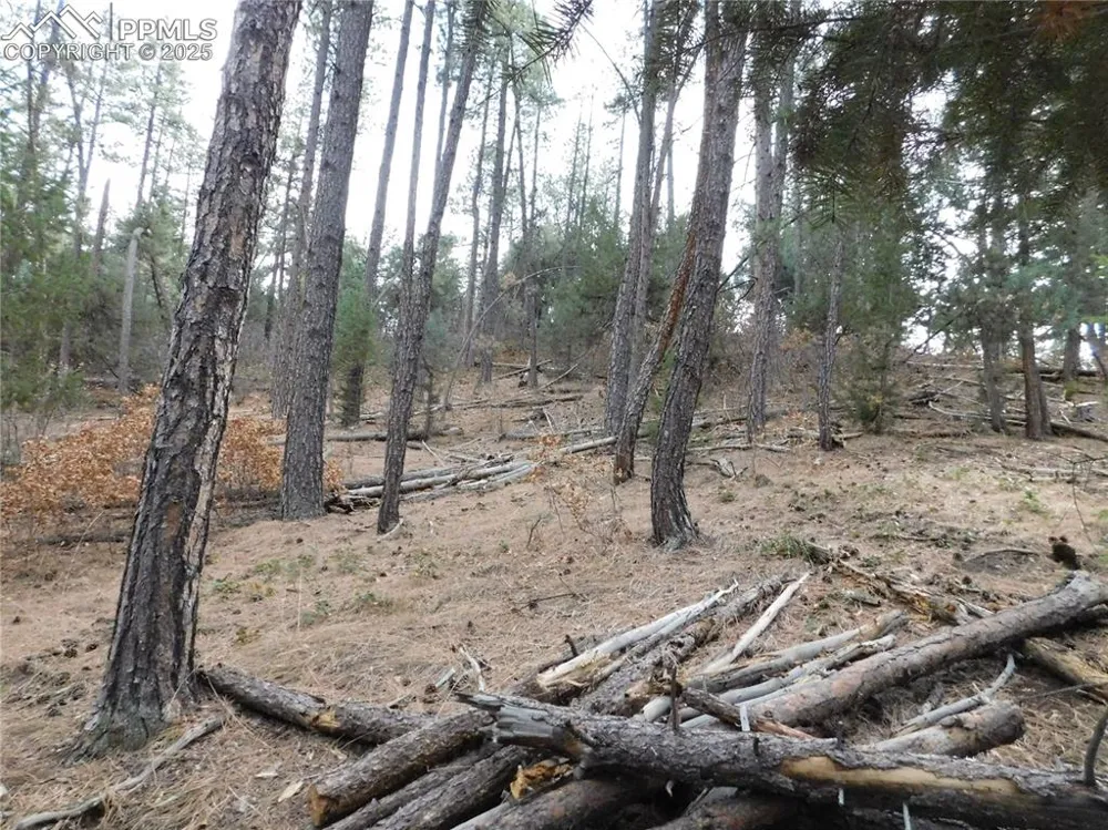 8139 Bannock Drive Larkspur, CO 80118