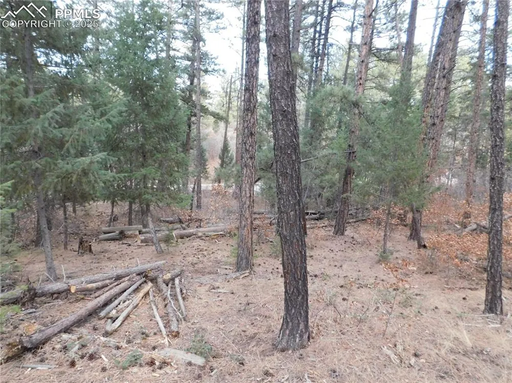 8139 Bannock Drive Larkspur, CO 80118