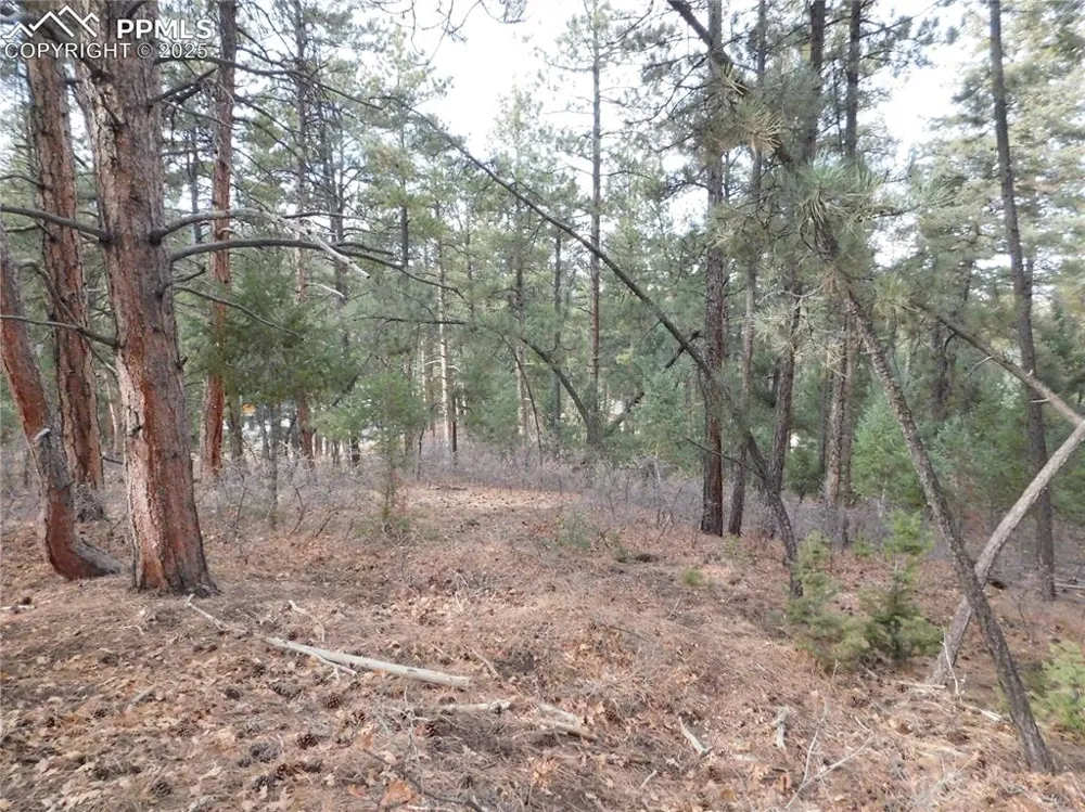8139 Bannock Drive Larkspur, CO 80118