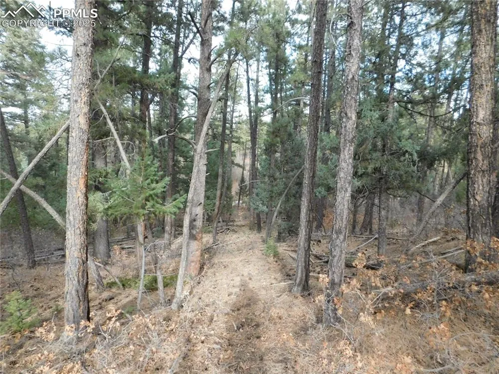 8139 Bannock Drive Larkspur, CO 80118