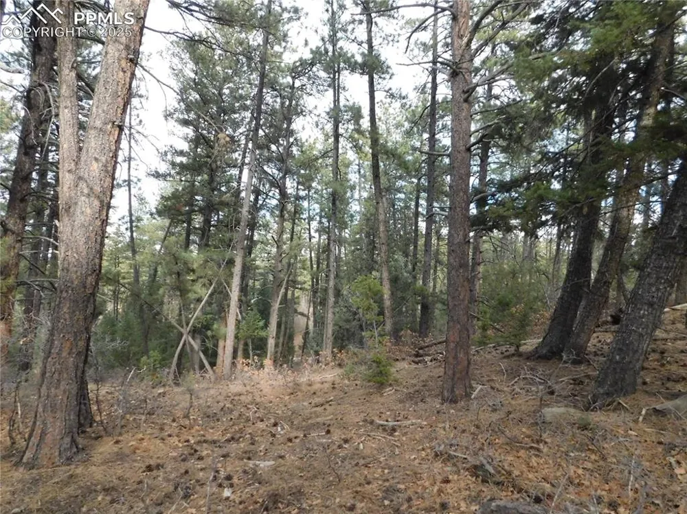 8139 Bannock Drive Larkspur, CO 80118