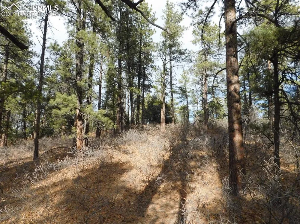 8139 Bannock Drive Larkspur, CO 80118