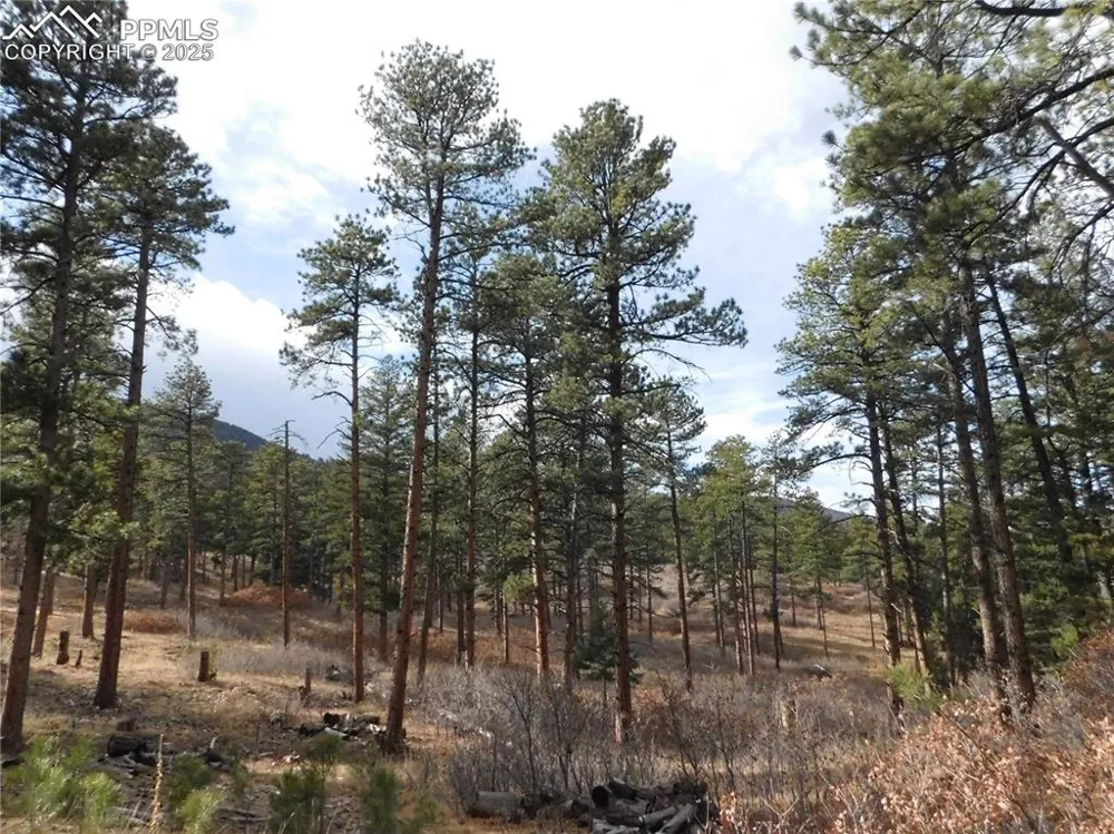 8139 Bannock Drive Larkspur, CO 80118