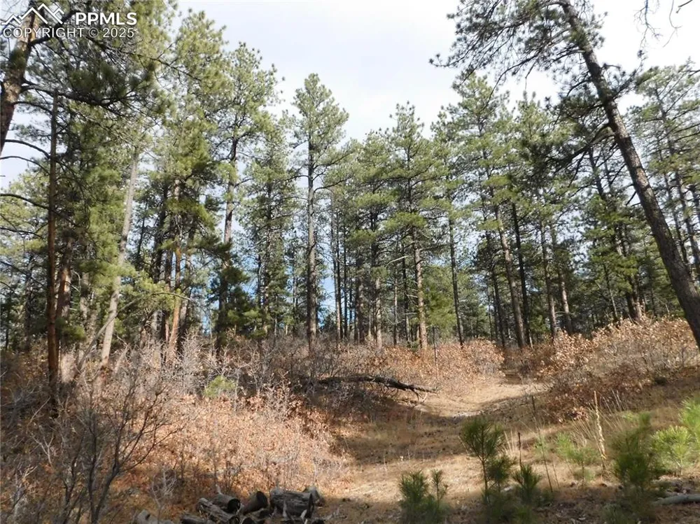 8139 Bannock Drive Larkspur, CO 80118
