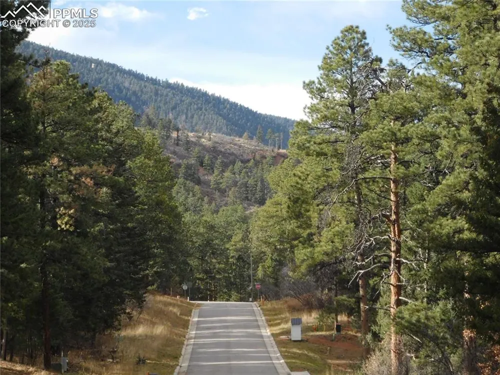 8139 Bannock Drive Larkspur, CO 80118