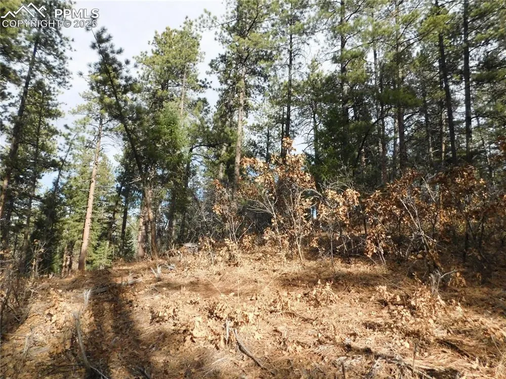 8139 Bannock Drive Larkspur, CO 80118