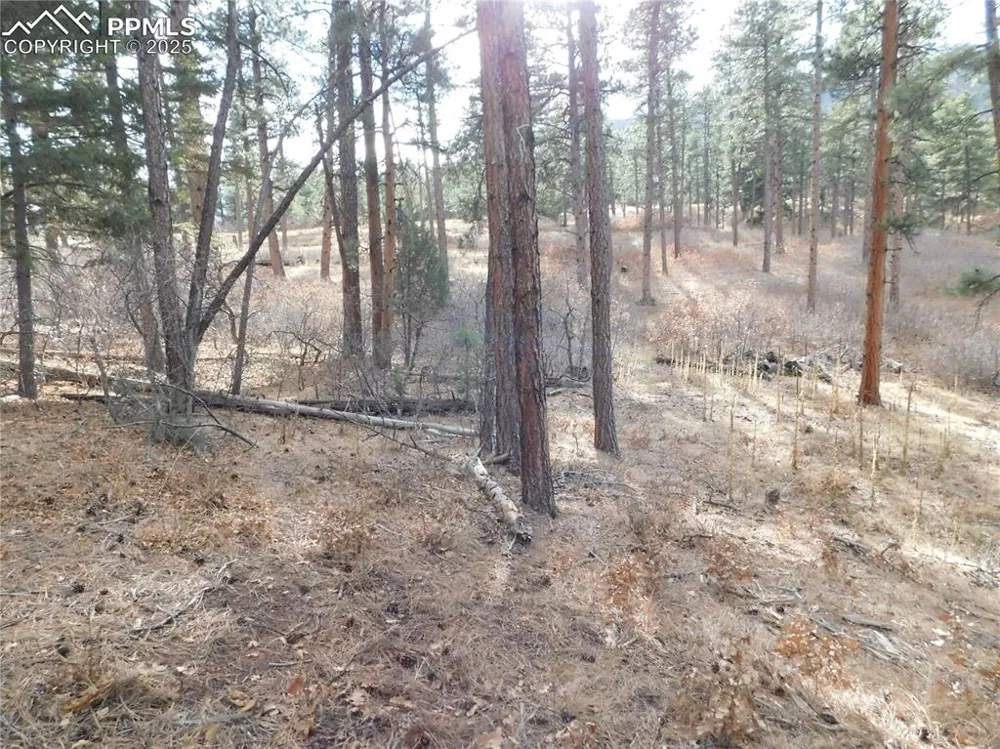 8139 Bannock Drive Larkspur, CO 80118