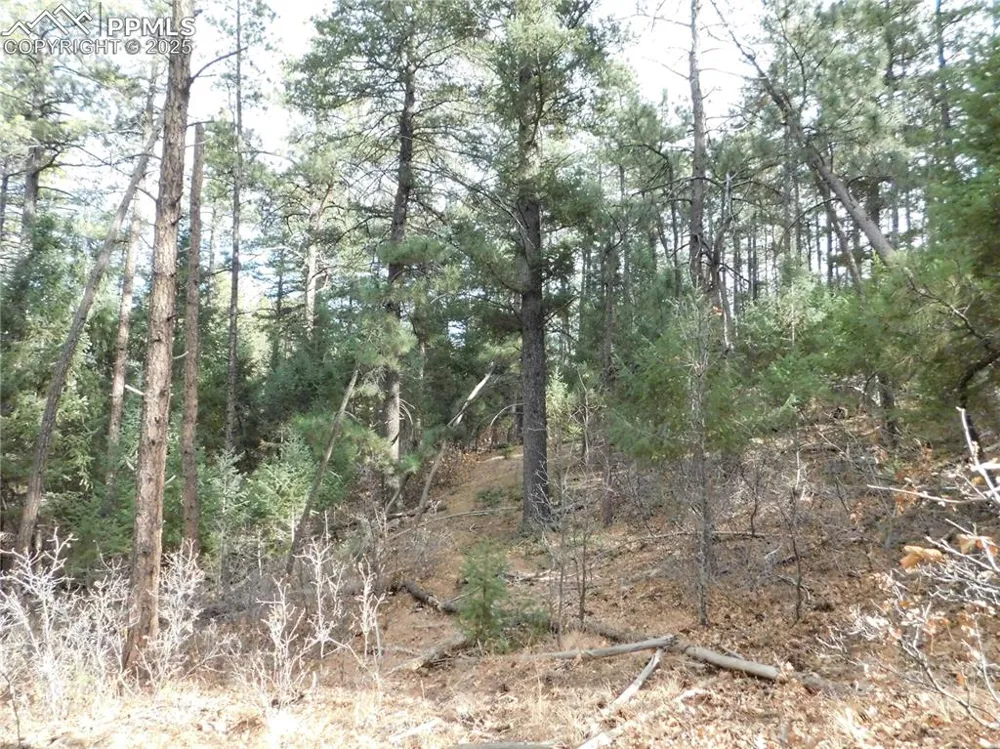 8139 Bannock Drive Larkspur, CO 80118