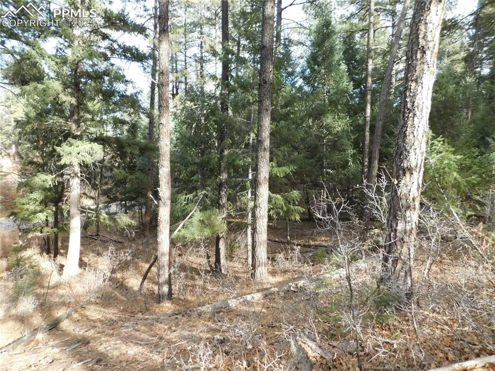 8139 Bannock Drive Larkspur, CO 80118