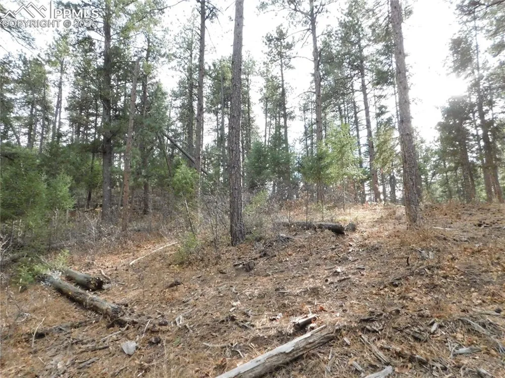 8139 Bannock Drive Larkspur, CO 80118