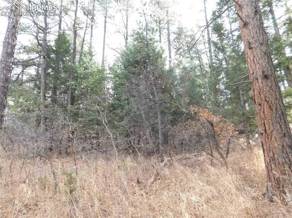 8139 Bannock Drive Larkspur, CO 80118