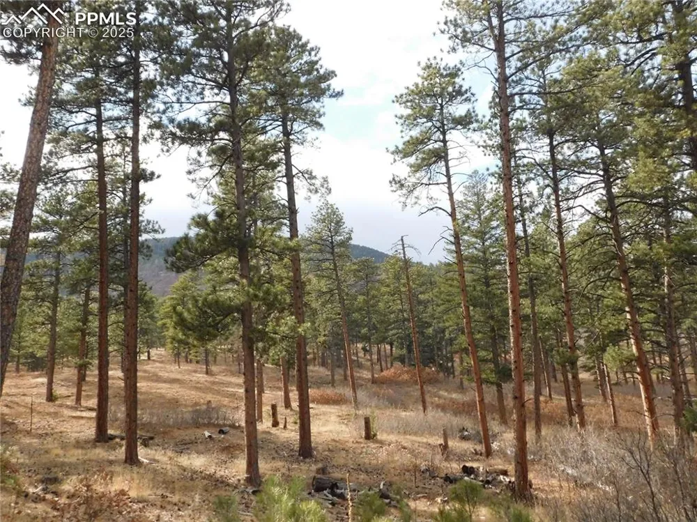 8139 Bannock Drive Larkspur, CO 80118