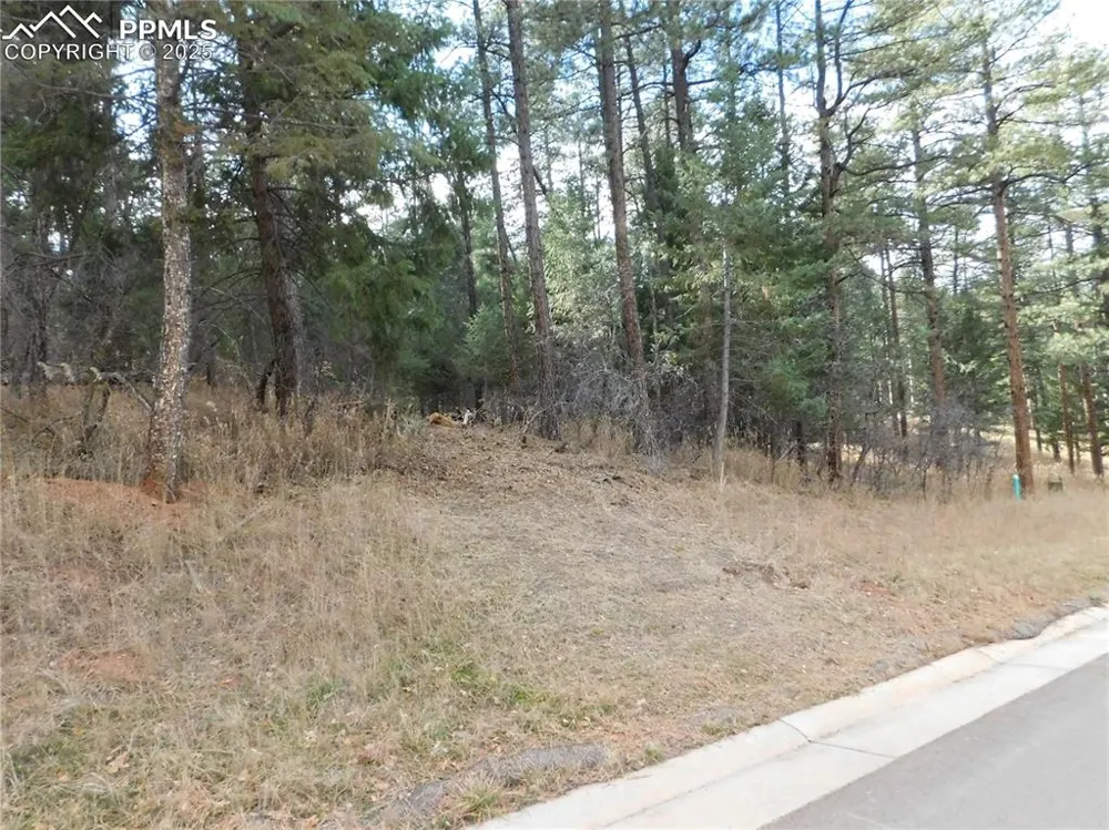 8139 Bannock Drive Larkspur, CO 80118