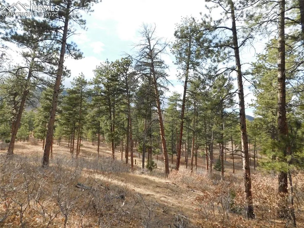 8139 Bannock Drive Larkspur, CO 80118