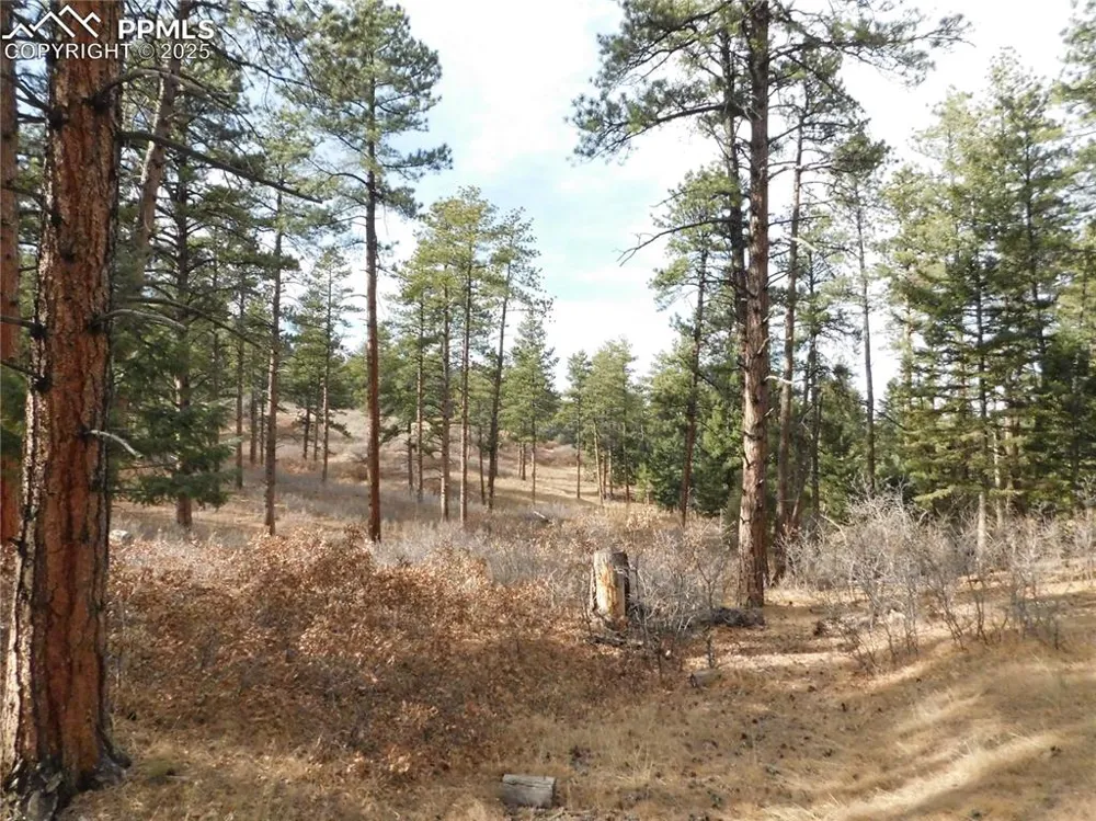 8139 Bannock Drive Larkspur, CO 80118