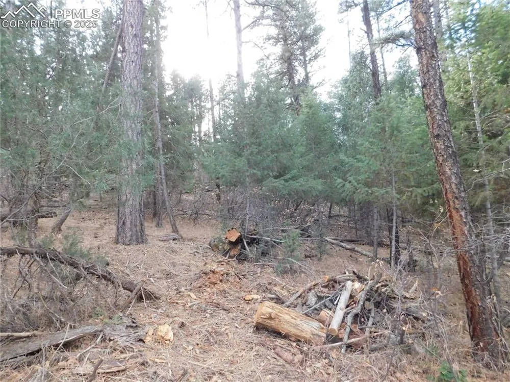 8139 Bannock Drive Larkspur, CO 80118