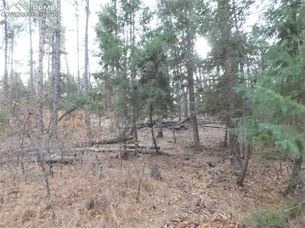 8139 Bannock Drive Larkspur, CO 80118