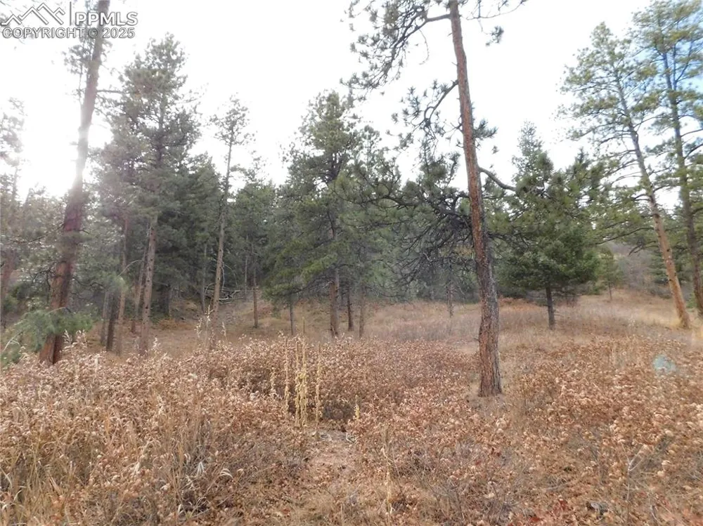 8055 Acoma Drive Larkspur, CO 80118
