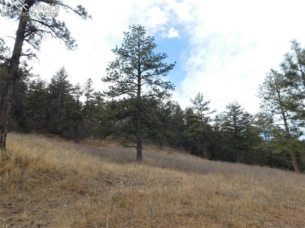 8055 Acoma Drive Larkspur, CO 80118