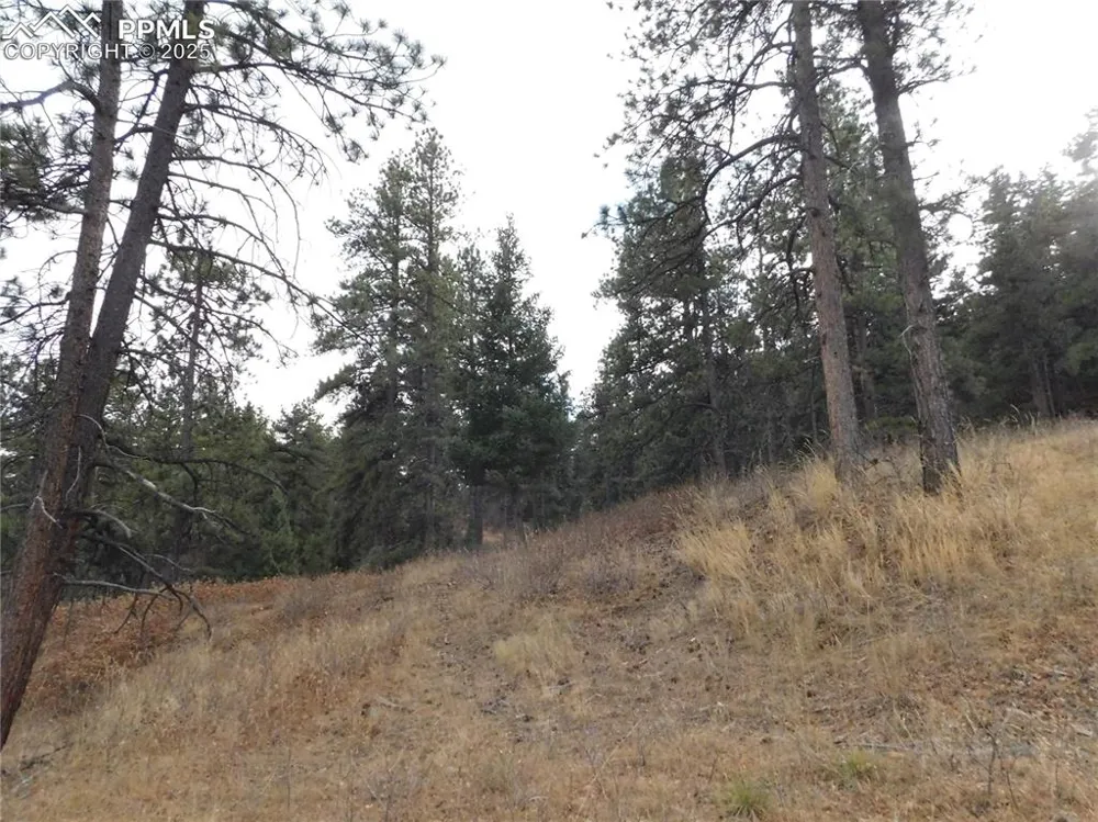 8055 Acoma Drive Larkspur, CO 80118