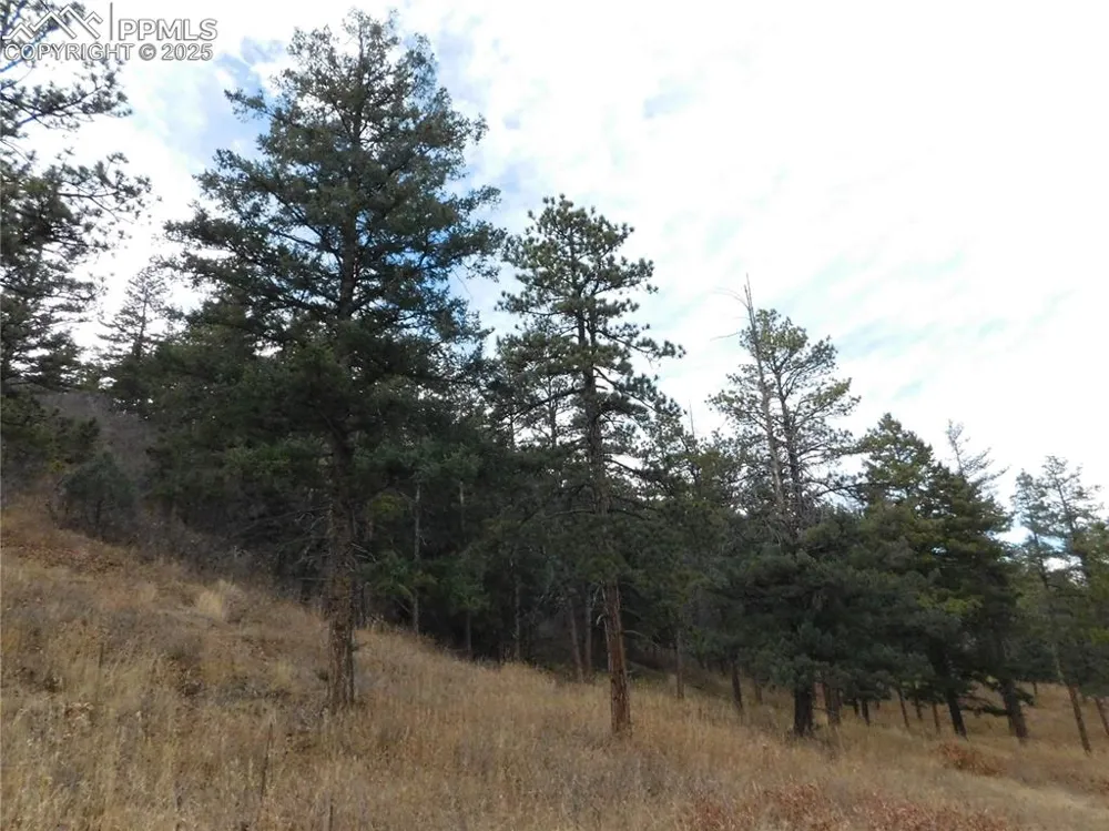 8055 Acoma Drive Larkspur, CO 80118