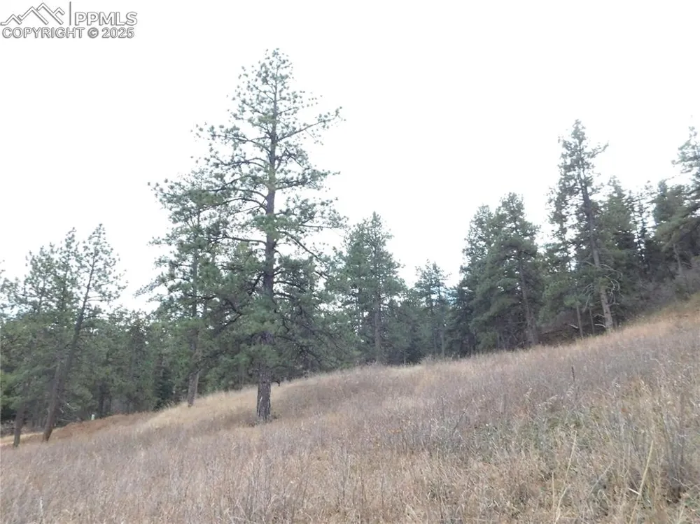 8055 Acoma Drive Larkspur, CO 80118