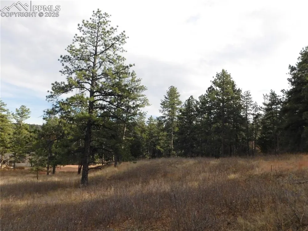 8055 Acoma Drive Larkspur, CO 80118