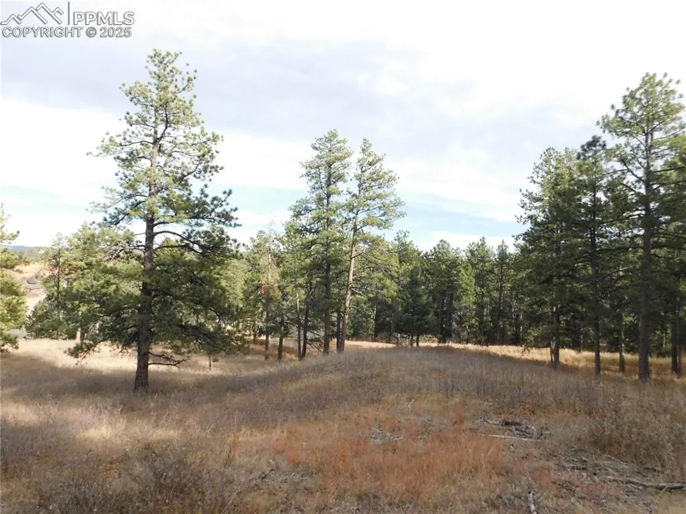8055 Acoma Drive Larkspur, CO 80118