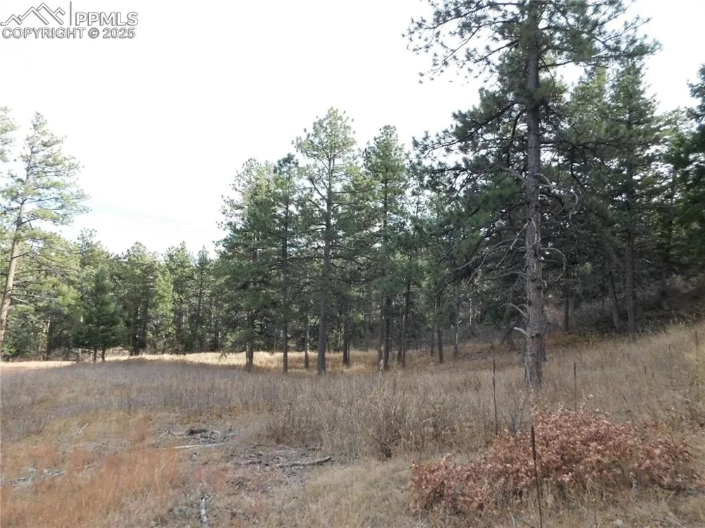 8055 Acoma Drive Larkspur, CO 80118