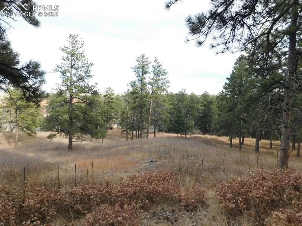 8055 Acoma Drive Larkspur, CO 80118