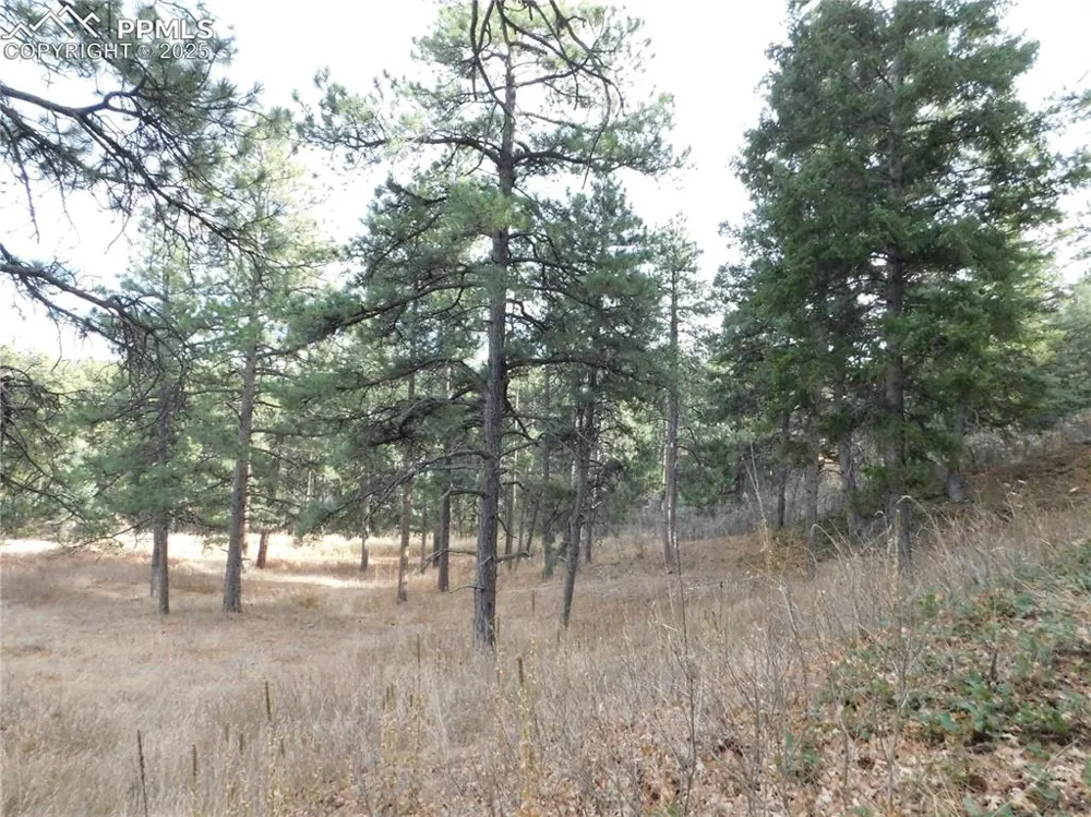 8055 Acoma Drive Larkspur, CO 80118