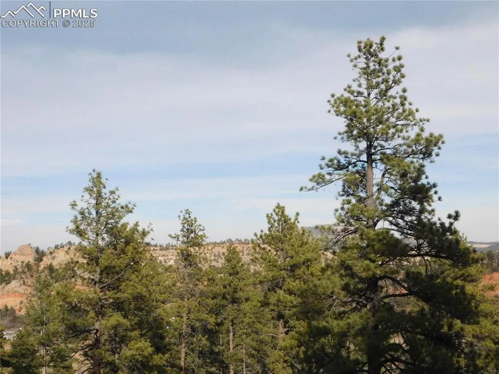 8055 Acoma Drive Larkspur, CO 80118