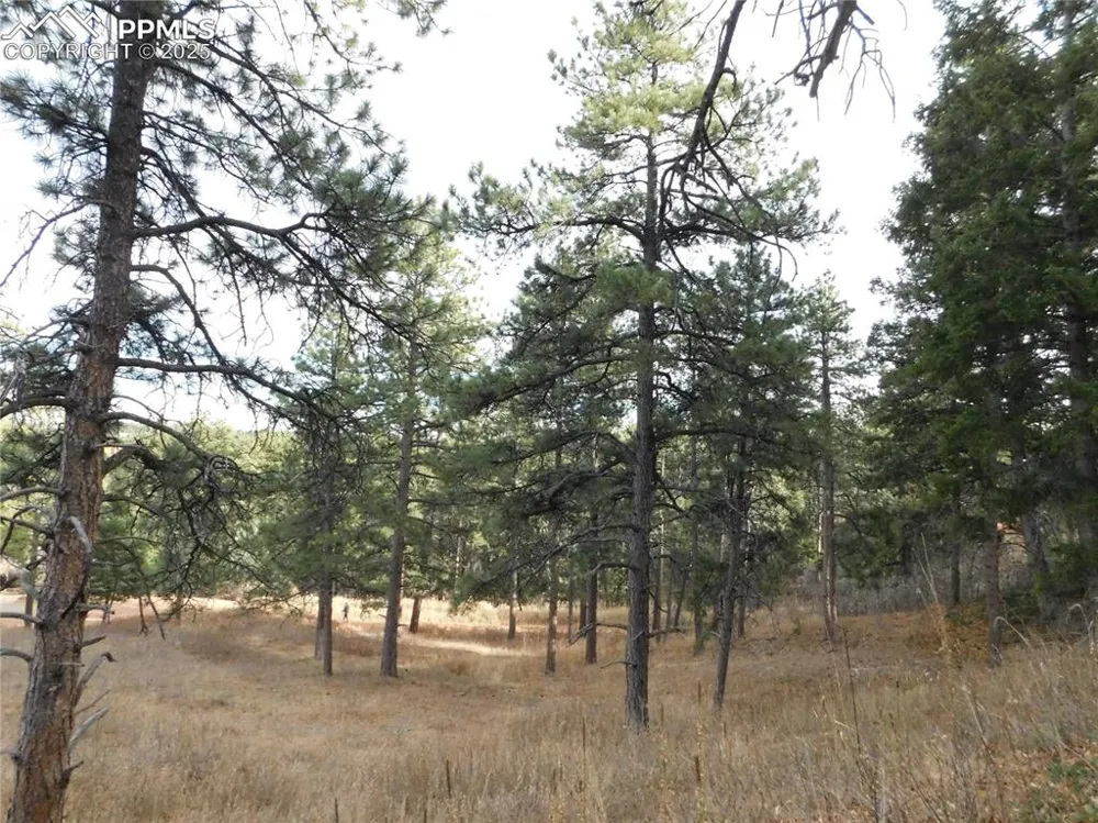 8055 Acoma Drive Larkspur, CO 80118