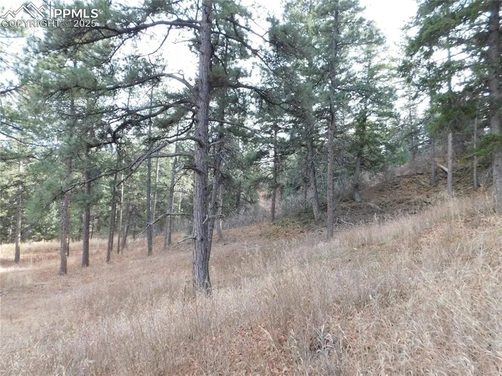 8055 Acoma Drive Larkspur, CO 80118