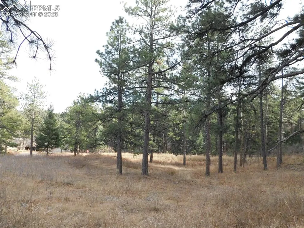 8055 Acoma Drive Larkspur, CO 80118
