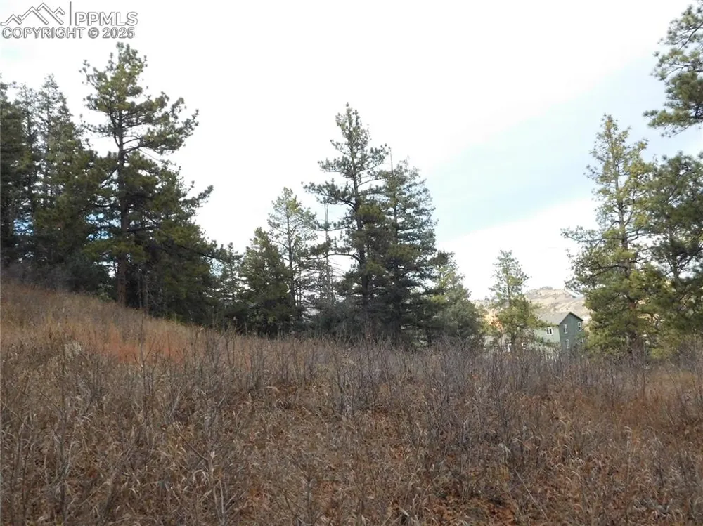 8055 Acoma Drive Larkspur, CO 80118